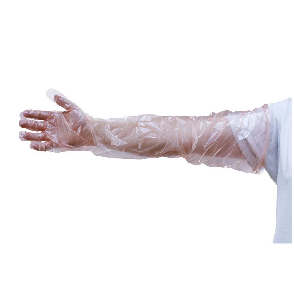 Gants d'insémination artificielle Boîte de 100